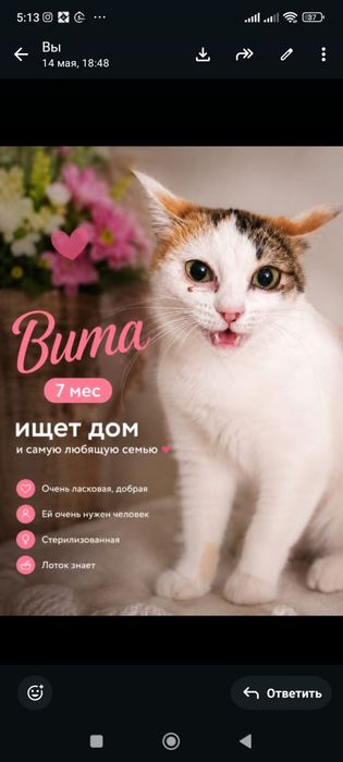 В добрые, ответственные руки
