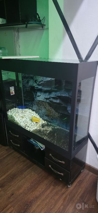 Akvarium sotiladi 200 litr