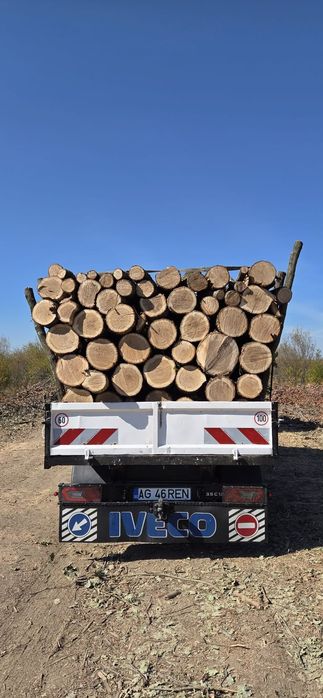 Lemne pentru încălzire esență tare transport gratuit