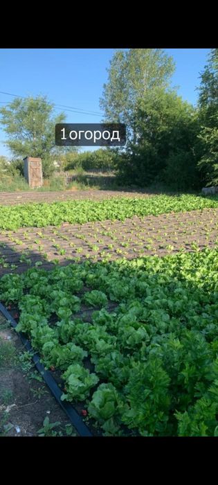 Продаю дом в долинке