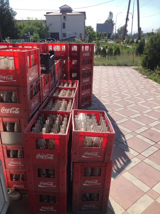 Coca cola Tara shisha kimga kerak boʻlsa