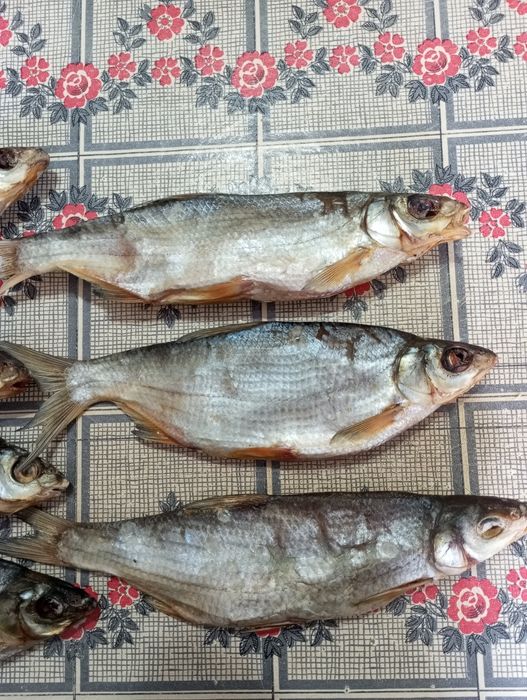 Сушеные Ребец майлы