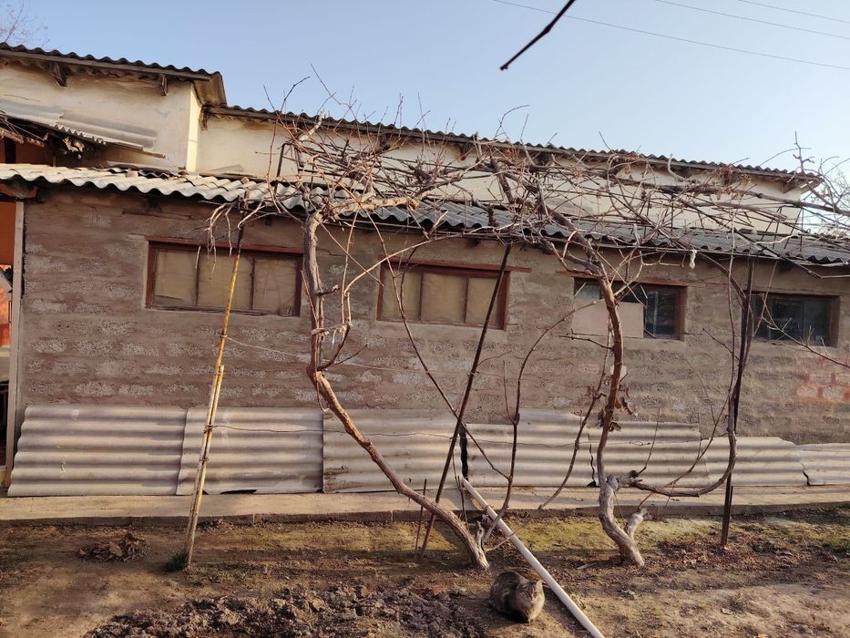 Продаётся дом с участком (Ташморе)