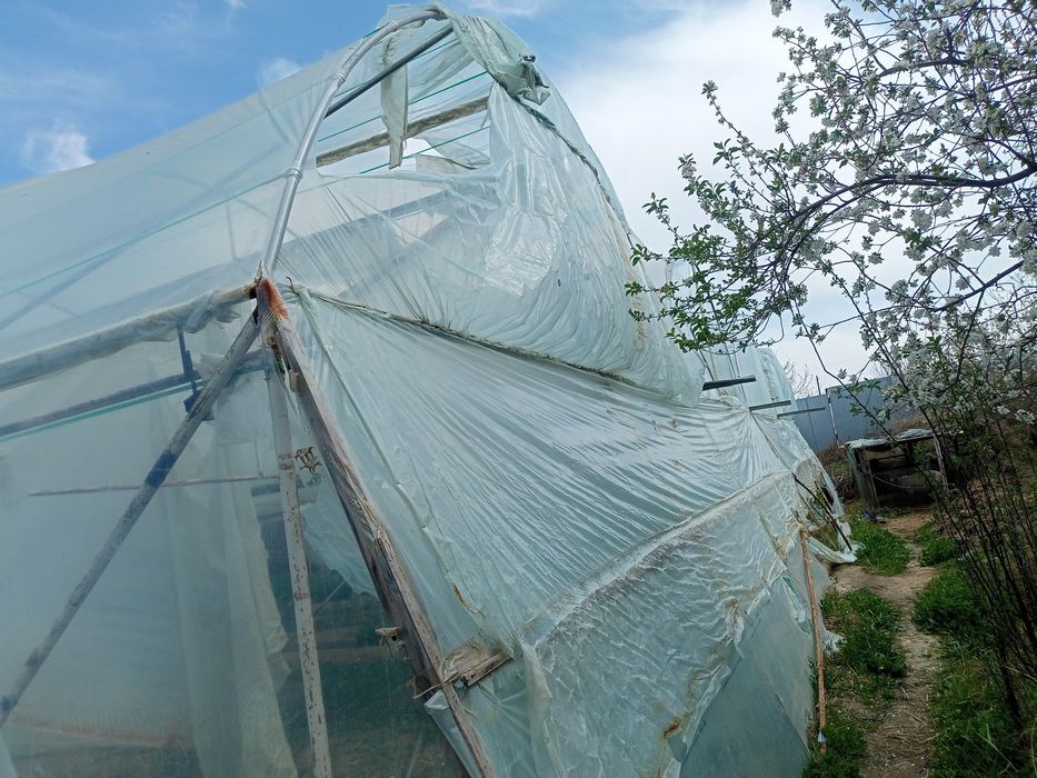 Парник 6 сотокли