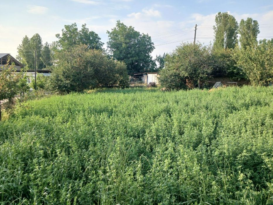 5 sotixlik yer narxi 5.500$ narxi kelishiladi