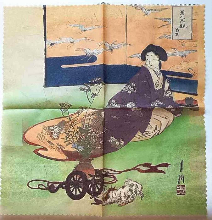 Лот 10 броя салфетки-паяжинки за колекция