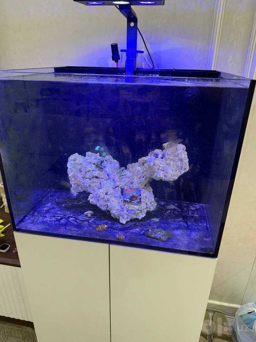 морской аквариум 130л комплект