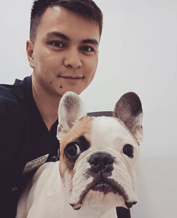 Ветеринар на выезд