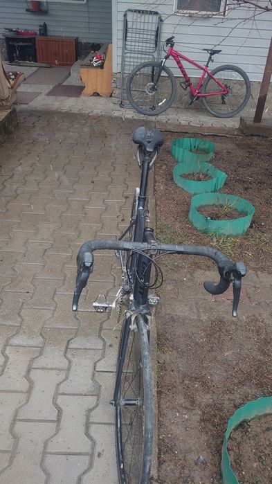 Giant contend 2. В отличном состоянии.