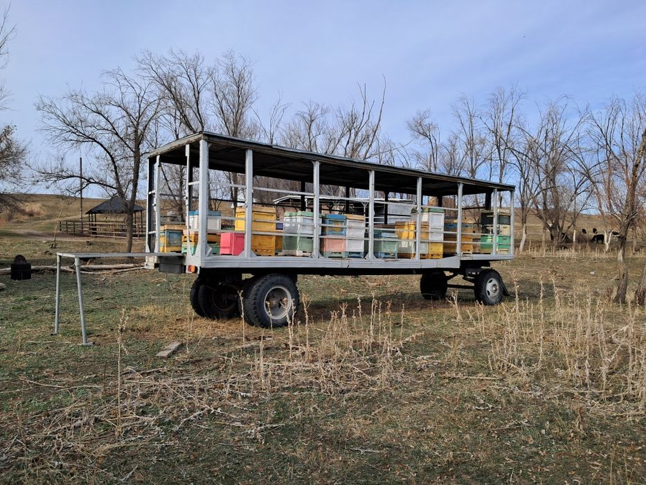 Продам прицеп-скотовоз, пчеловоз