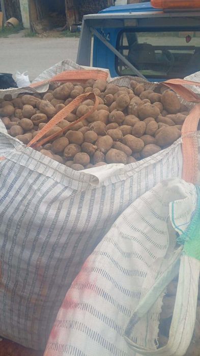Продавам картофи за животни