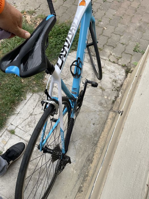 Cursiera Carbon Focus