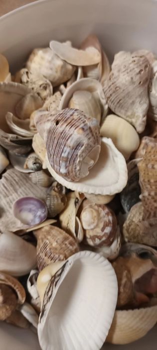 Accesorii acvariu/ terariu