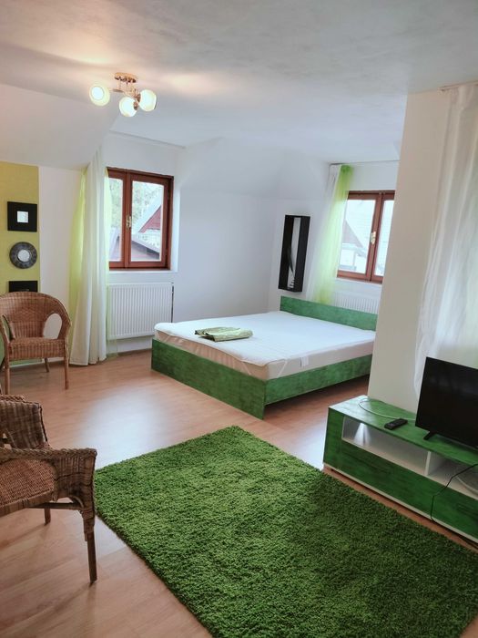 Cazare Bușteni camera dublă sau apartament