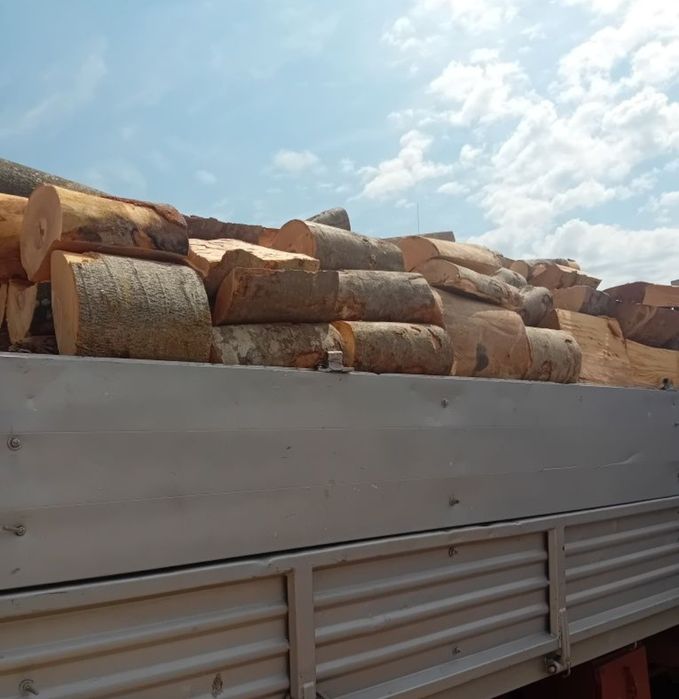 Vând lemne de foc esență fag