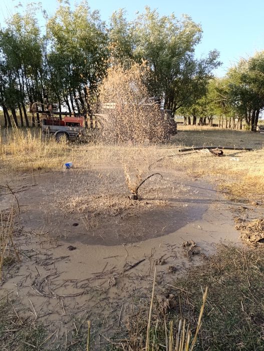 Фло - порно актриса.