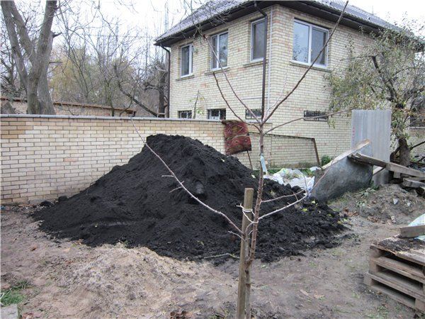 Чернозем плодородный