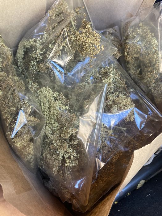 Дивата Билкова Ферма, чайове билки подправки  плодове