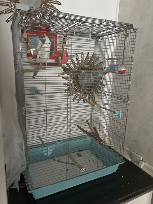 Клетка для, попугаев