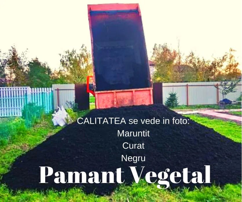 Pamant negru vegetal