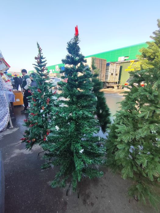 Ёлка 22000 теңге