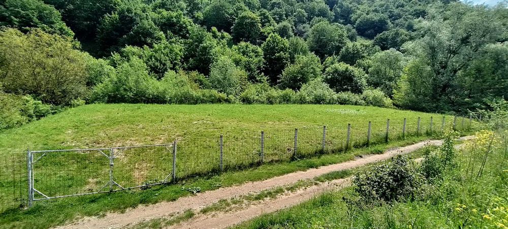 850 mp,plan,imprejmuit,CF,front la drum public cu latime de 7m