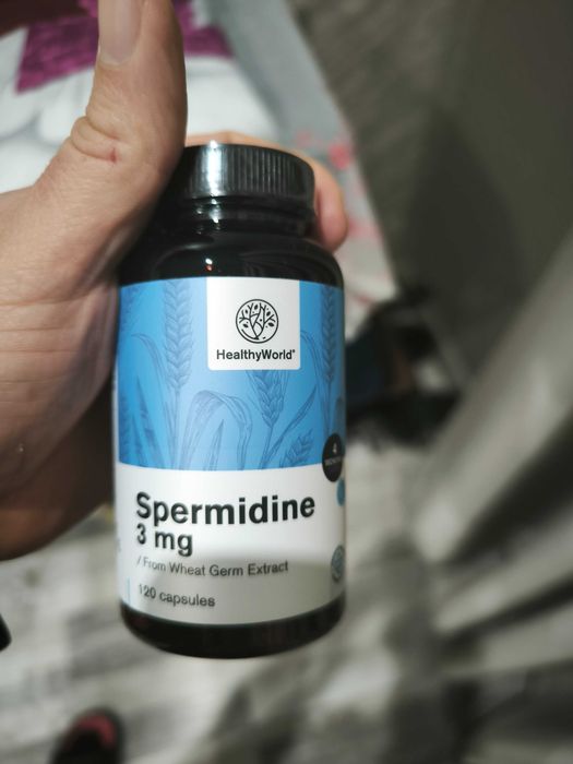 Спермидин/ Spermidine