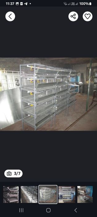 Клетка  для несушек   и перепелок.