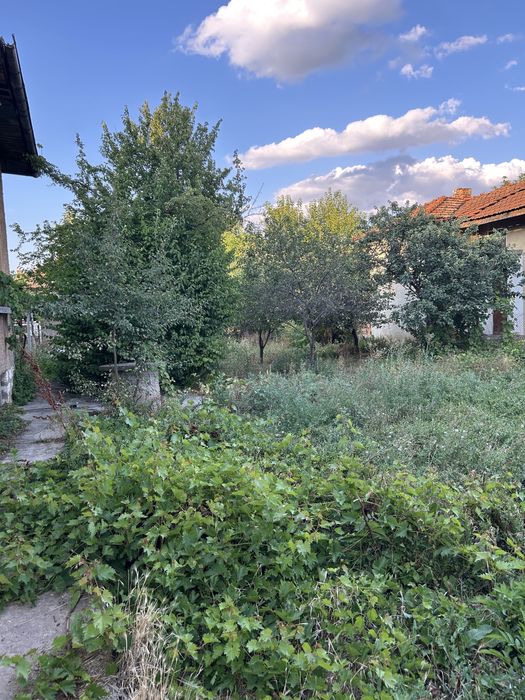 Продава се Къща в Луковит - 250 кв.м за 180 €/кв.м - Снимка #7