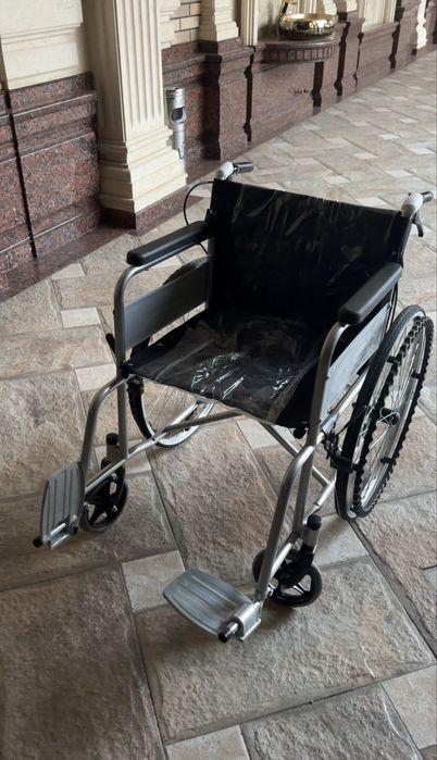 Nogiron aravalari (Prokatga)