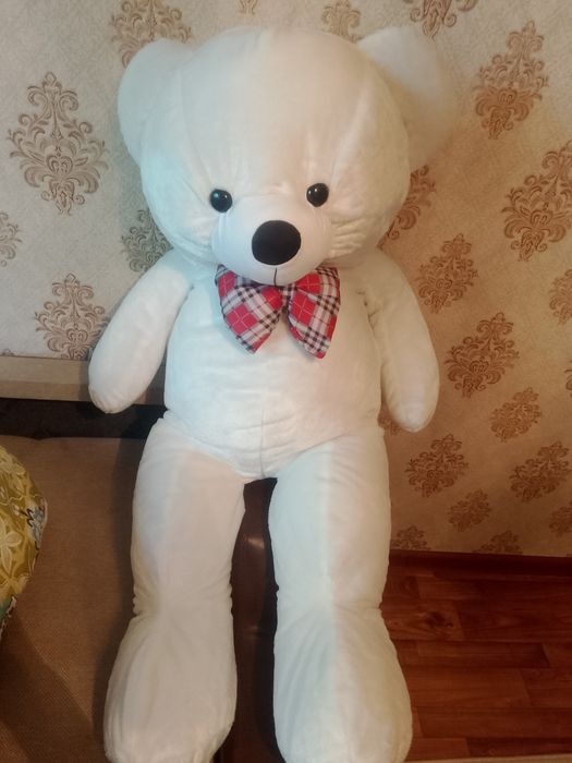 Мягкий сильный медведь