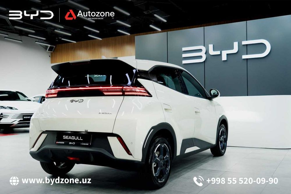 BYD Seagull 405km Flying