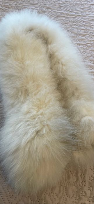 Guler de vulpe polara