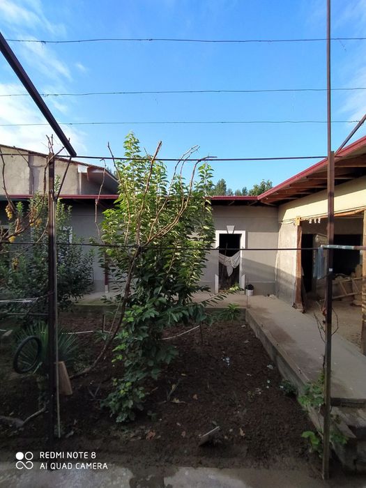 Toshkent viloyati zangi ota tumani eshonguzar