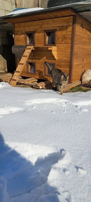 Домик с утеплением для кошек