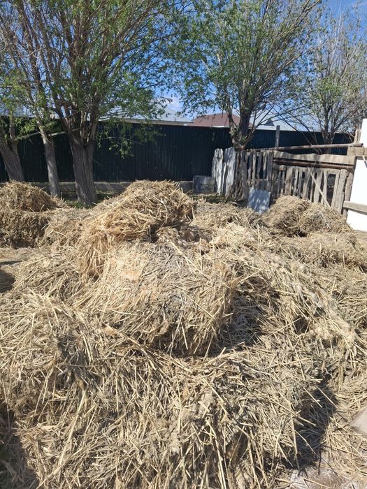 Камыс прес сатылады