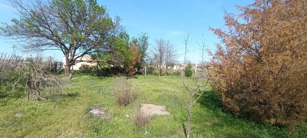 Дача Шубарсу2 12 соток