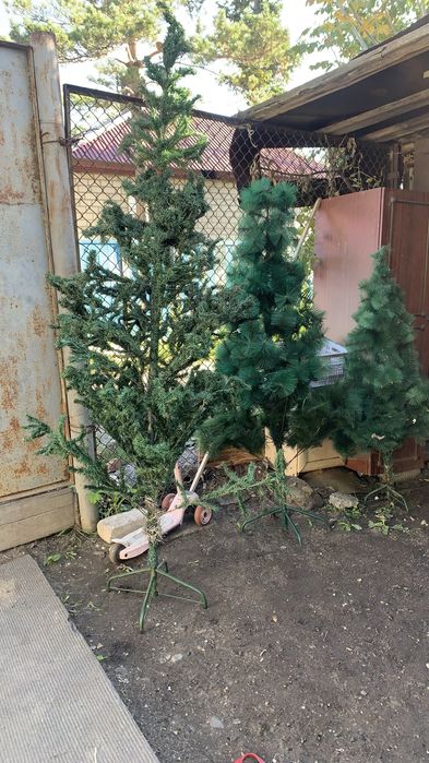 Продам елки новогодние