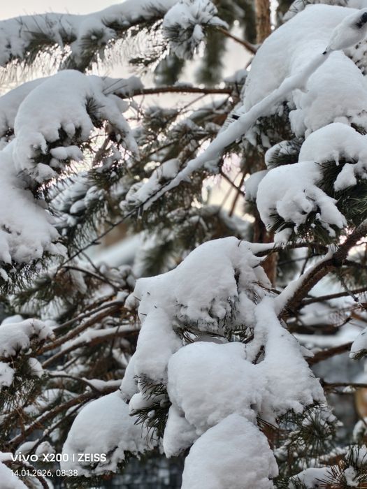 виво х 200 в отличном обмен