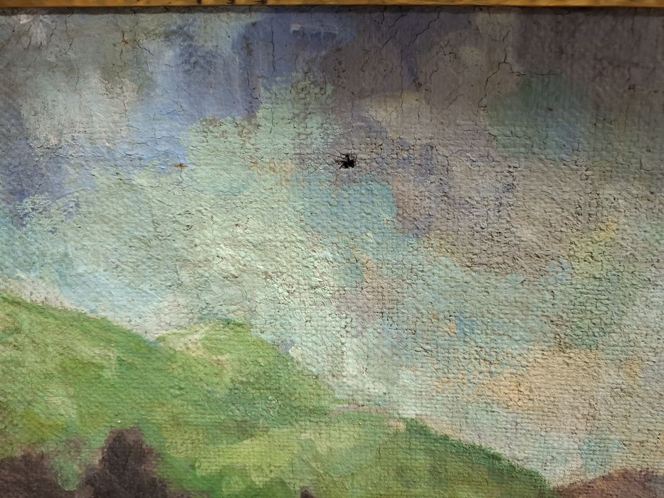 Tablou ulei pe panza semnat Thorma.