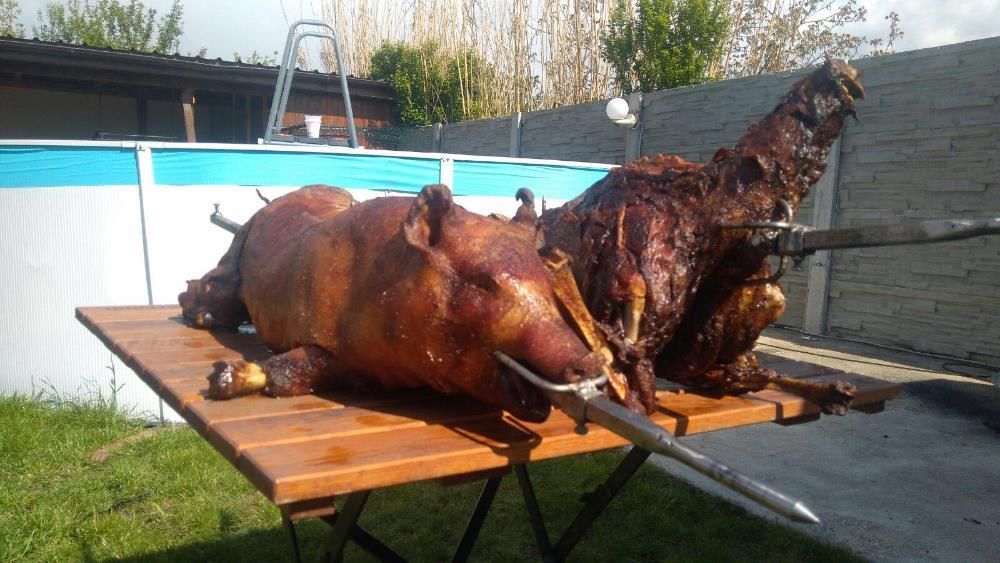 Rotisor protap profesional din inox