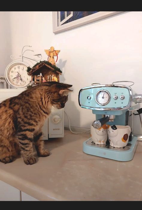 Expresor Filtru cafea nou sigilat 249 ron