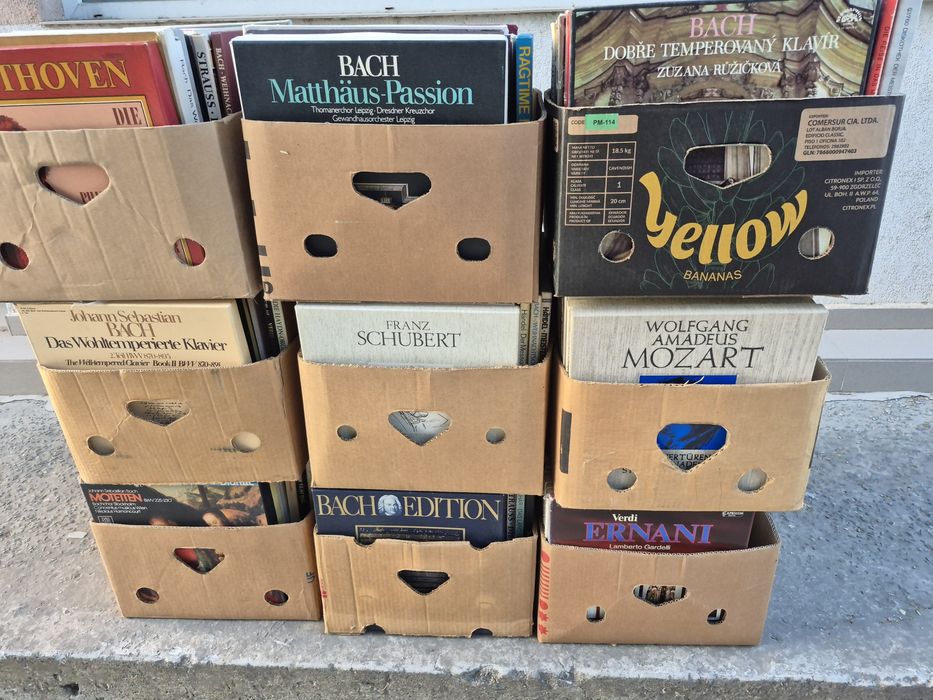 Vând Lot 100lp Discuri Vinil colectie muzica clasica pentru pick Up