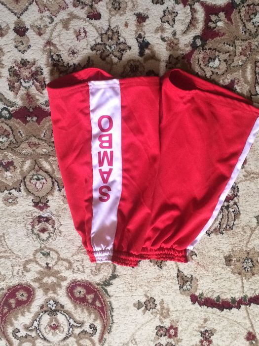 Самбо Борьба формы