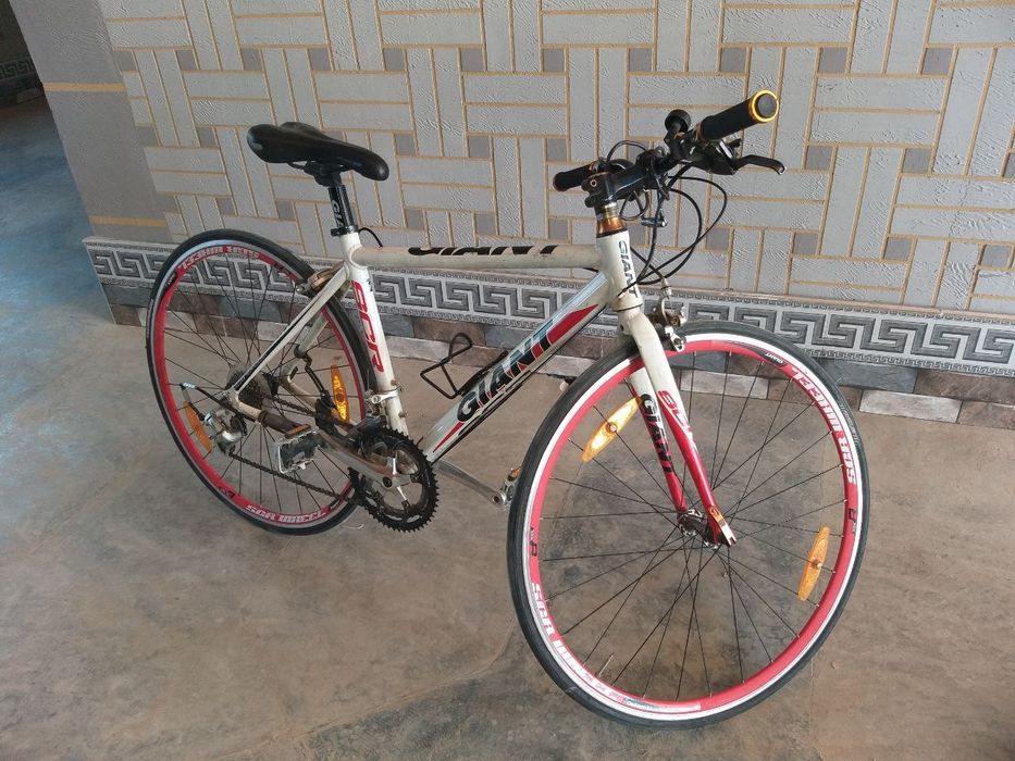 Velosiped GIANT (sporting. professional)