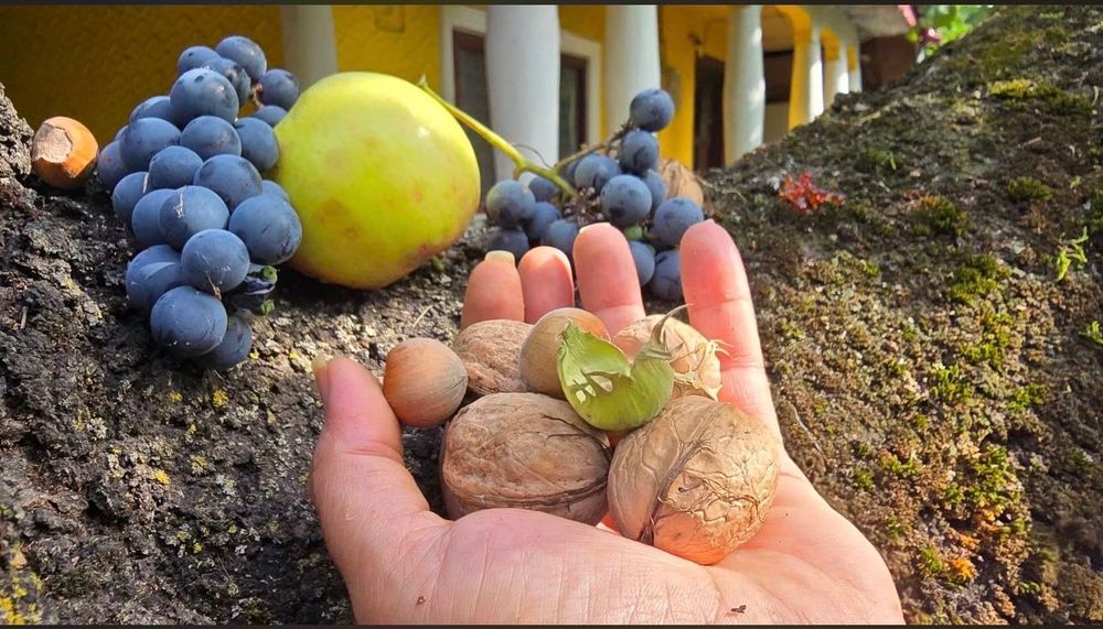 Struguri, mere si nuci de vânzare