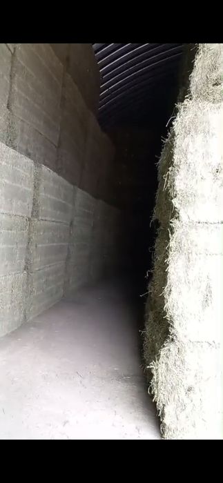 Vand Baloti de lucerna loco Braila