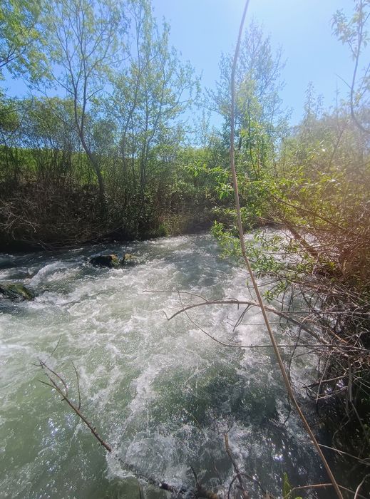 Vrei liniște și aer curat? Terenuri ideale pentru casă în Cosoba