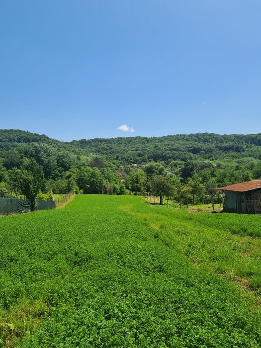 Teren vanzare Calinesti
