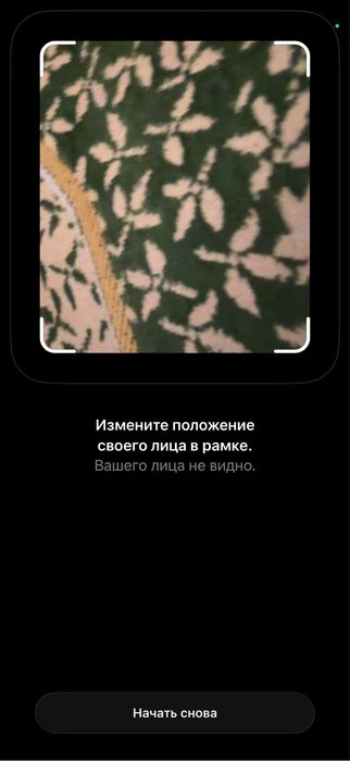 Iphone 16 pro max 256 гб